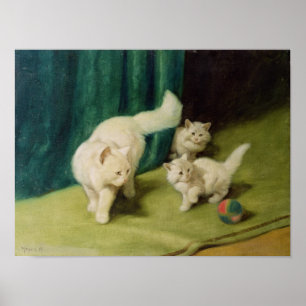 White Persian Cat with Two Kittens Poster