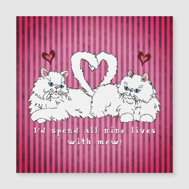 White Persian Cats with Hearts Valentine's (Front)