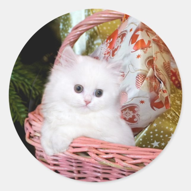 White Persian Kitten Christmas Classic Round Sticker (Front)