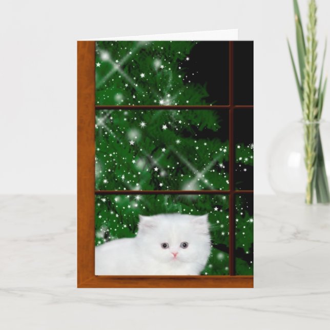 White persian kitten Christmas Holiday Card (Front)