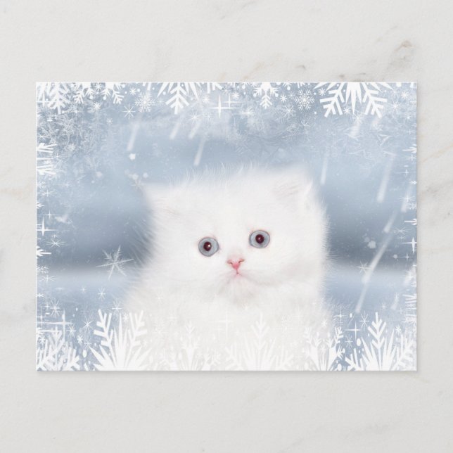 White persian kitten Christmas Holiday Postcard (Front)