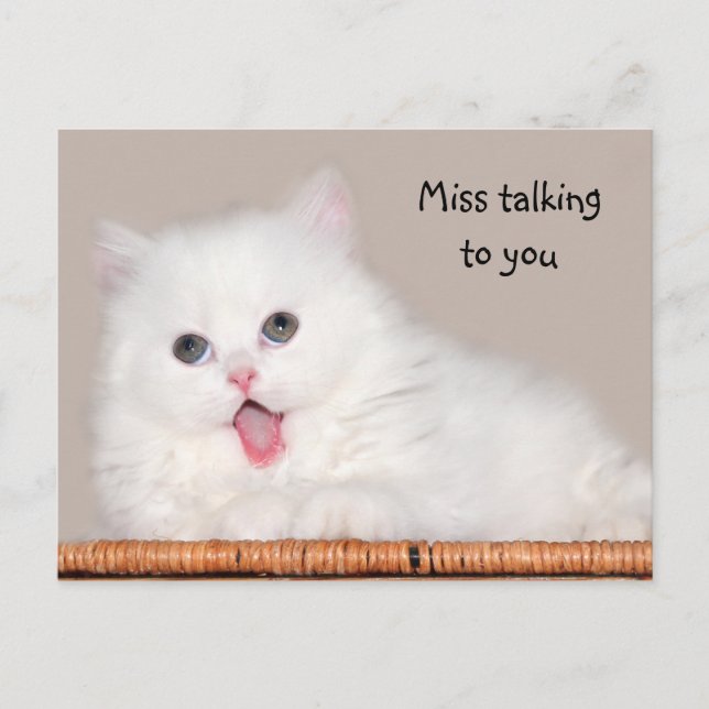 White persian kitten misses you postcard (Front)