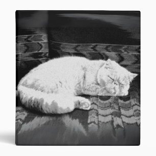 White Persian Sleeping Cat Binder