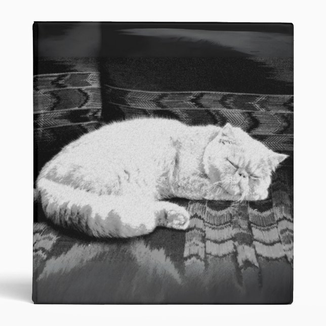 White Persian Sleeping Cat Binder (Front)