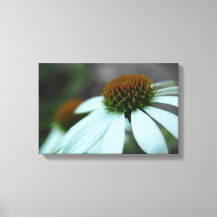 White Petals, Flower (canvas print) Canvas Print