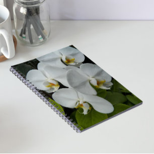White Phalaenopsis Orchids Floral Notebook