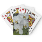 White Phalaenopsis Orchids Floral