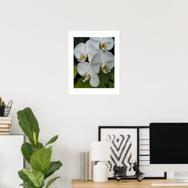 White Phalaenopsis Orchids Floral Poster (Home Office)