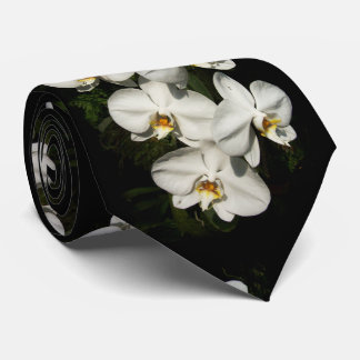 White phalaenopsis orchids tie