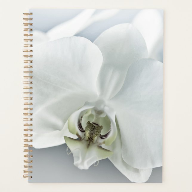 White Phaleonopsis Orchid Planner (Front)