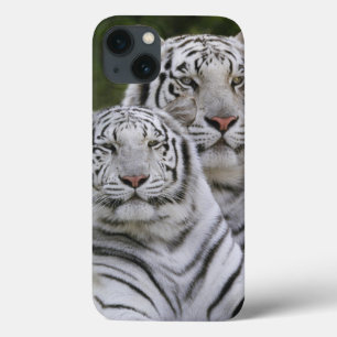 White phase, Bengal Tiger, Tigris iPhone 13 Case