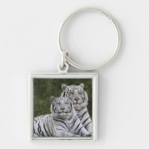 White phase, Bengal Tiger, Tigris Keychain