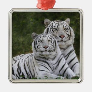 White phase, Bengal Tiger, Tigris Metal Ornament