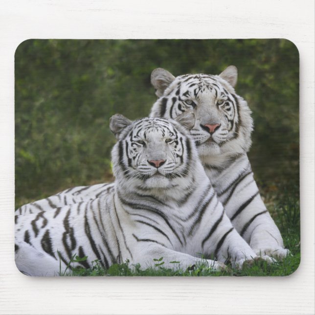 White phase, Bengal Tiger, Tigris Mouse Pad (Front)
