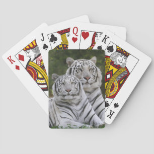 White phase, Bengal Tiger, Tigris Playing Cards
