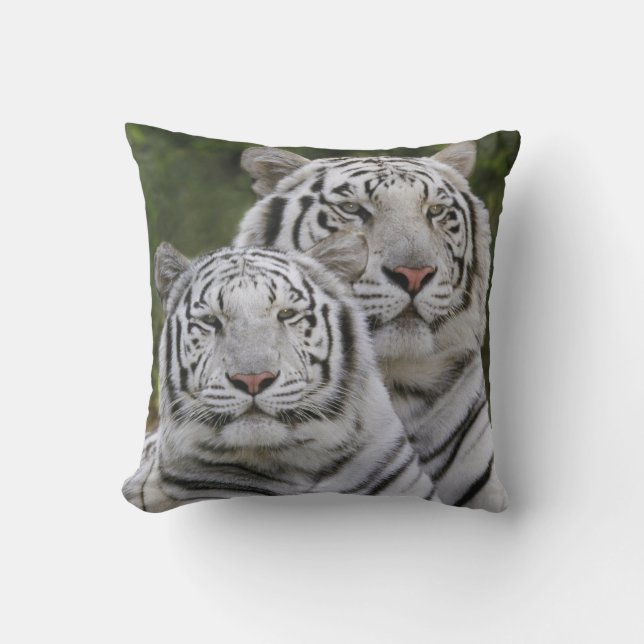 White phase, Bengal Tiger, Tigris Throw Pillow (Front)