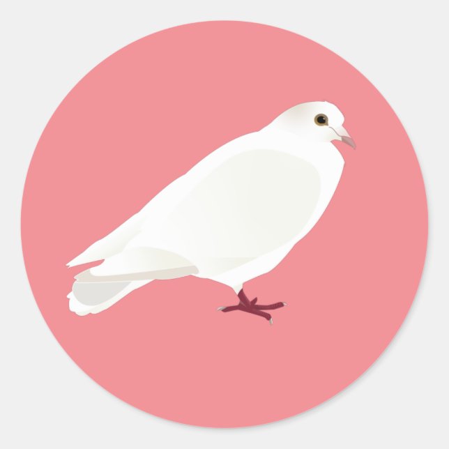 White Pigeon (Dove) Classic Round Sticker (Front)