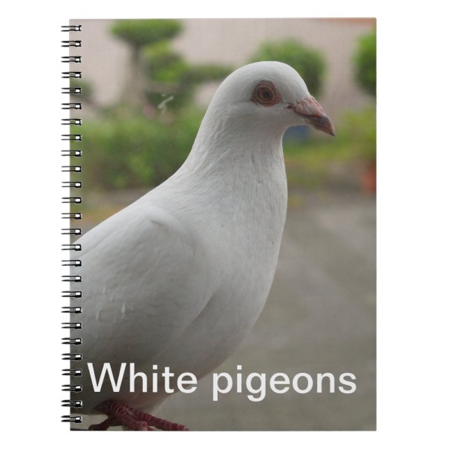 White pigeons Notebook (Front)