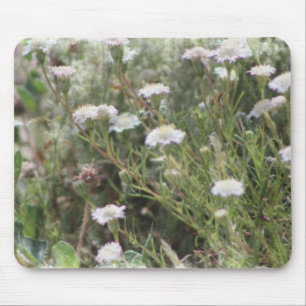 White Pincushion Wildflowers Digital Watercolor Mo Mouse Pad
