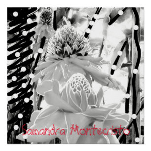 White Pineapples & Strawberry Glossy Poster