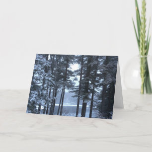 White Pines in Blue Light --- Holiday Card