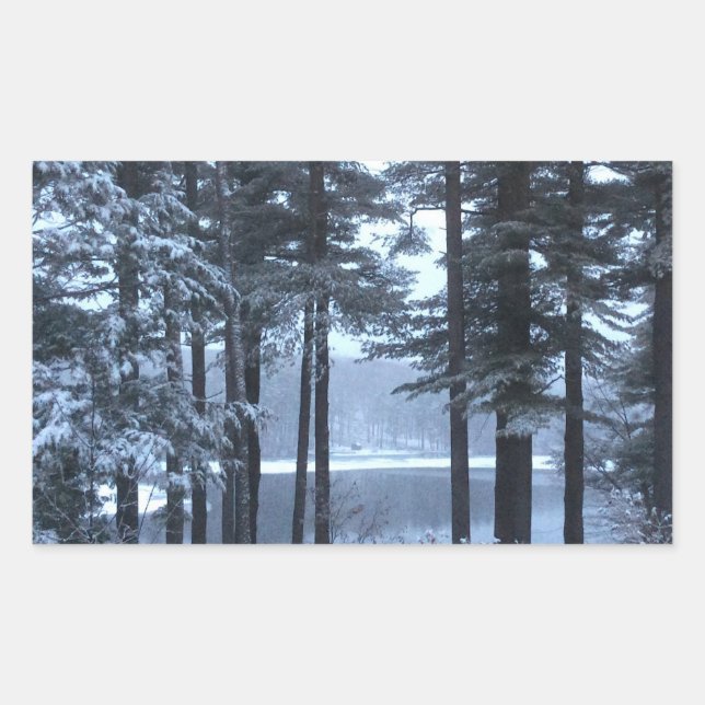 White Pines in Blue Light --- Sticker (Front)