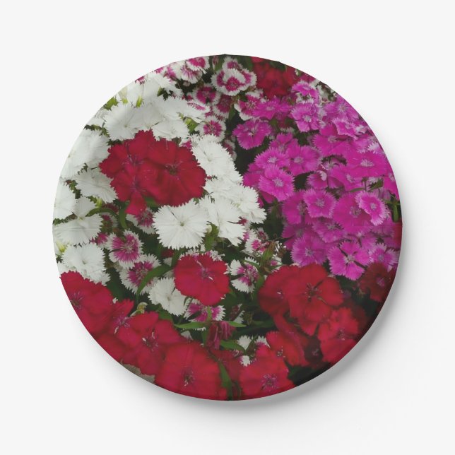 White, Pink and Red Dianthus Floral Paper Plate (Front)