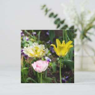 White, pink and yellow tulips in the garden  