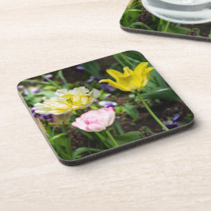 White, pink and yellow tulips in the garden coaster