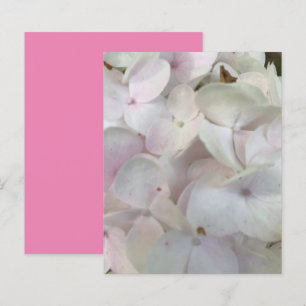White Pink Hydrangea Blossoms Scrapbook Paper