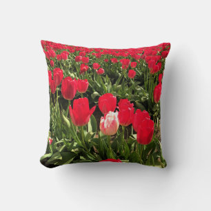 White & Pink Tulip in a Red Tulip Field, Oregon Throw Pillow