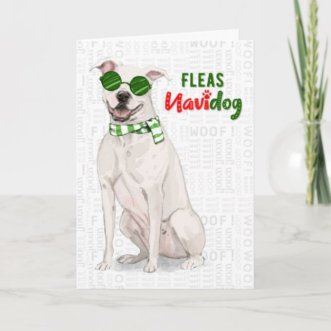White Pit Bull Dog Funny Fleas Navidog Christmas Holiday Card (Front)