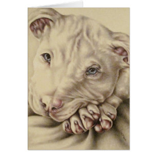 White Pit bull Drawing with Blue Eyes on Card