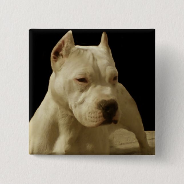 White pitbull 2 inch square button (Front)