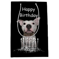 White Pitbull Birthday