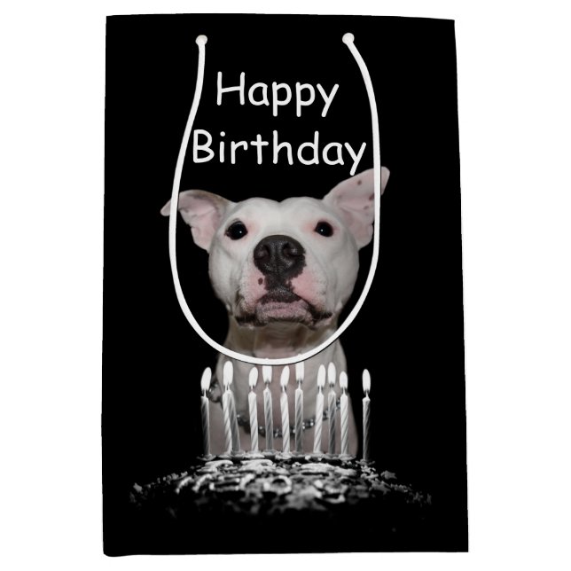 White Pitbull Birthday Medium Gift Bag (Front)
