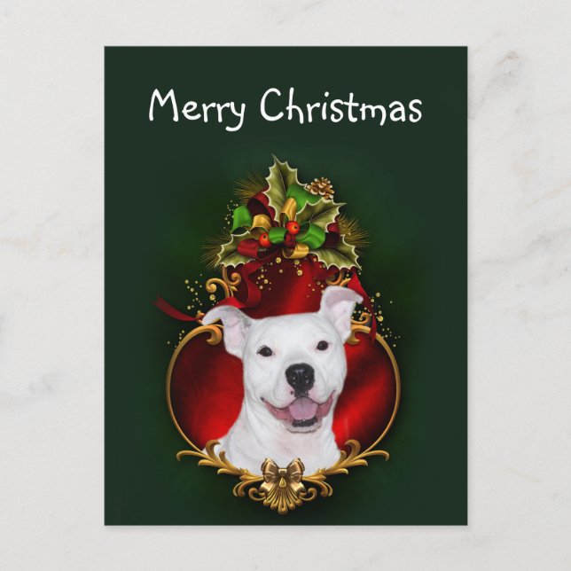 White pitbull Christmas Holiday Postcard (Front)