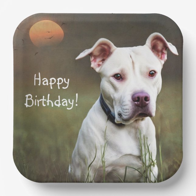 White Pitbull Paper Plate (Front)