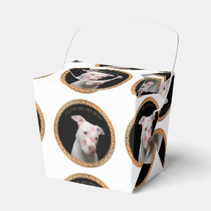 White pitbull with red kisses all over his face. favor box