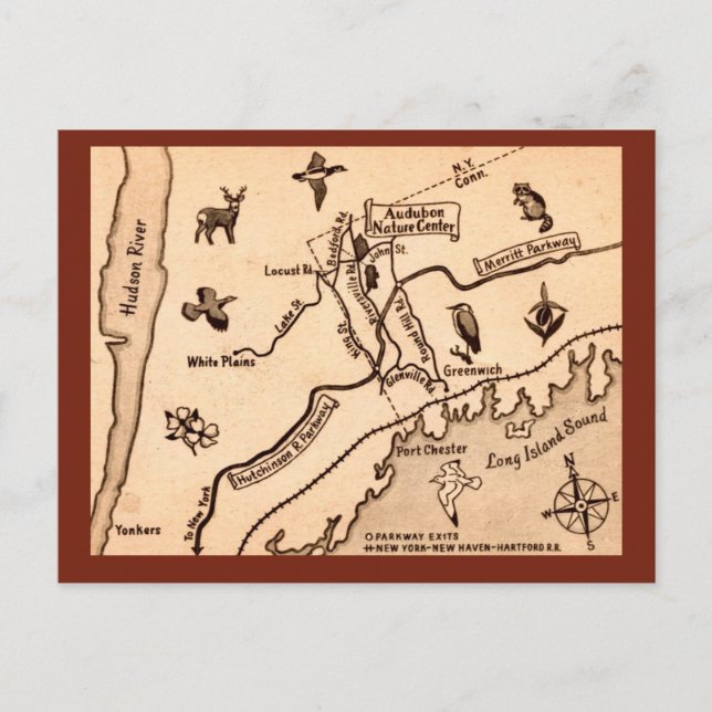 White Plains NY Vintage Postcard  (Front)