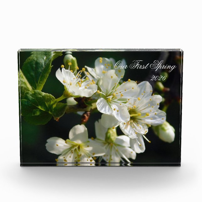 White Plum Blossom Macro | Personalized Photo Bloc Block (Front)