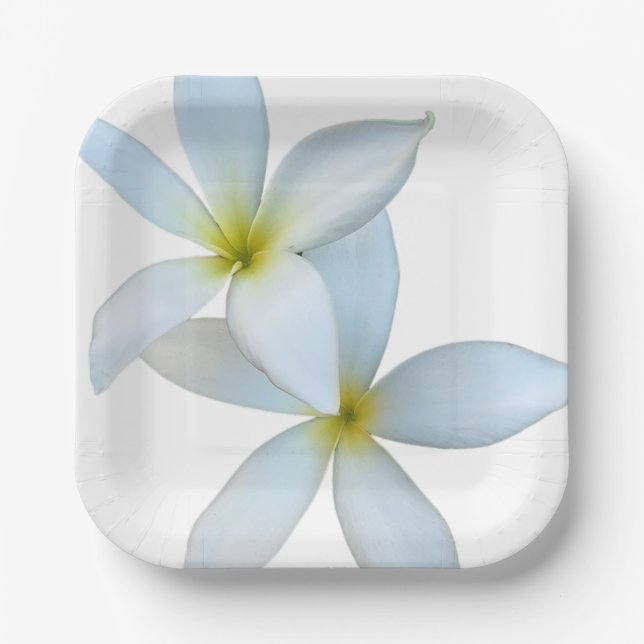 White Plumeria Blooms Paper Plate (Front)
