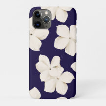 White Plumeria