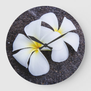 White Plumeria Flower Frangipani Floral Lava Rock Large Clock