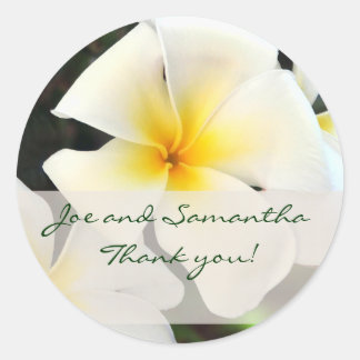 White Plumeria Flower Thank You Sticker