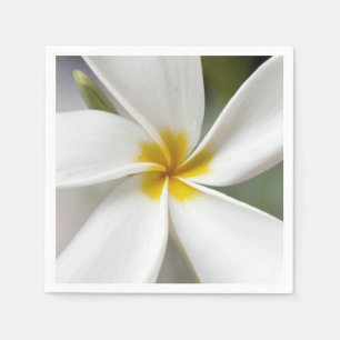 White Plumeria - Macro Portrait Napkin