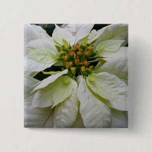 White Poinsettia Elegant Christmas Holiday Floral 2 Inch Square Button