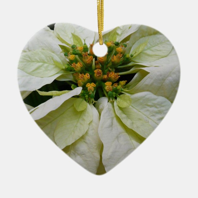 White Poinsettia Elegant Christmas Holiday Floral Ceramic Ornament (Front)