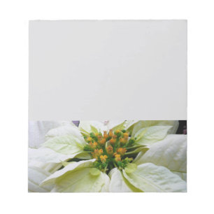 White Poinsettia Elegant Christmas Holiday Floral Notepad