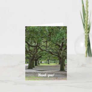 White Point Gardens Painterly Thank You Card